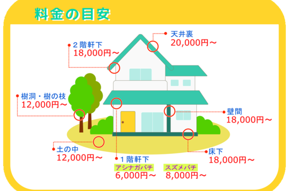 下関市ハチの巣駆除はおそうじキラリまで8000円～作業時間平均40分で対応